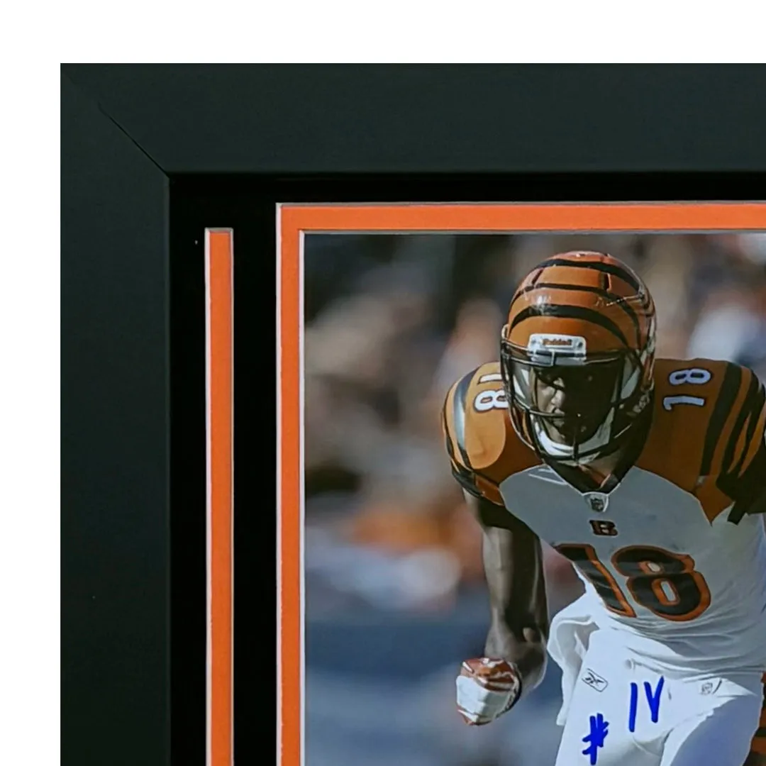 AJ Green Hand Signed & Framed Cincinnati Bengals 8x10 Football Photo