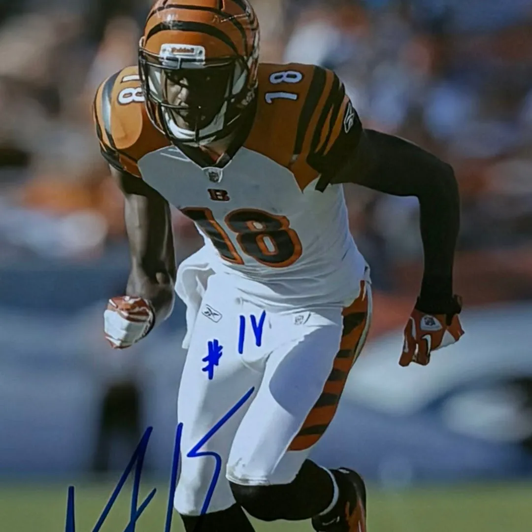 AJ Green Hand Signed & Framed Cincinnati Bengals 8x10 Football Photo