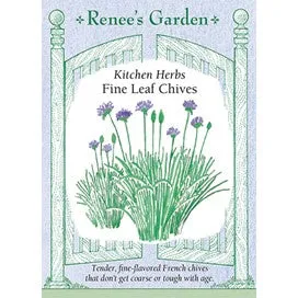 Chives, Fine Leaf