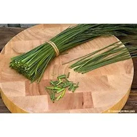 Chives, Fine Leaf