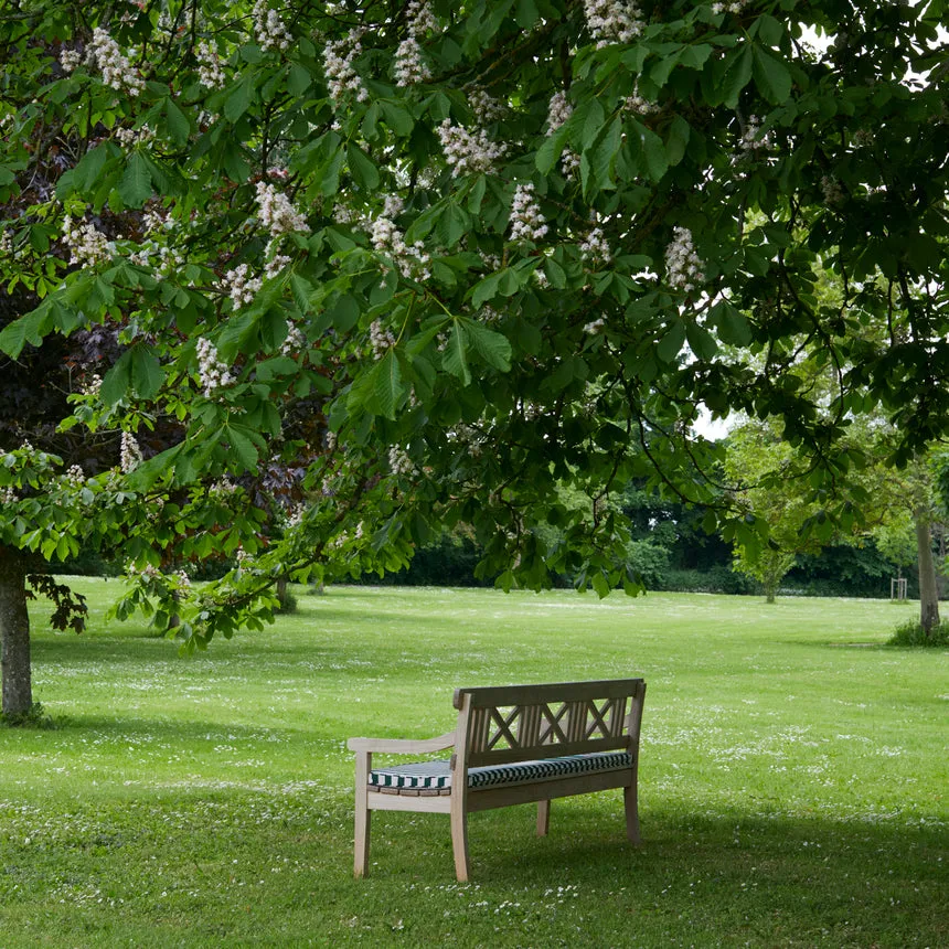 Drachmann Bench Cushion