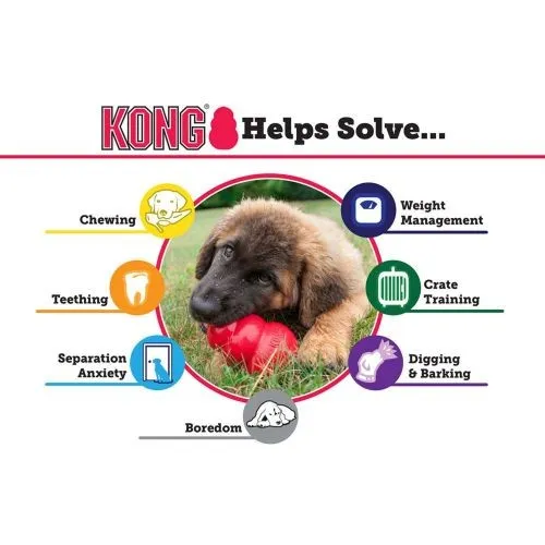 KONG Puppy Chew Toy Large