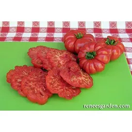 Tomato Costoluto Genovese, Italian Heirloom by Renee's Garden