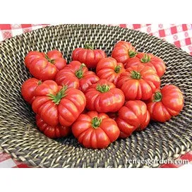 Tomato Costoluto Genovese, Italian Heirloom by Renee's Garden